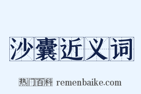 沙囊近义词是什么意思的图片